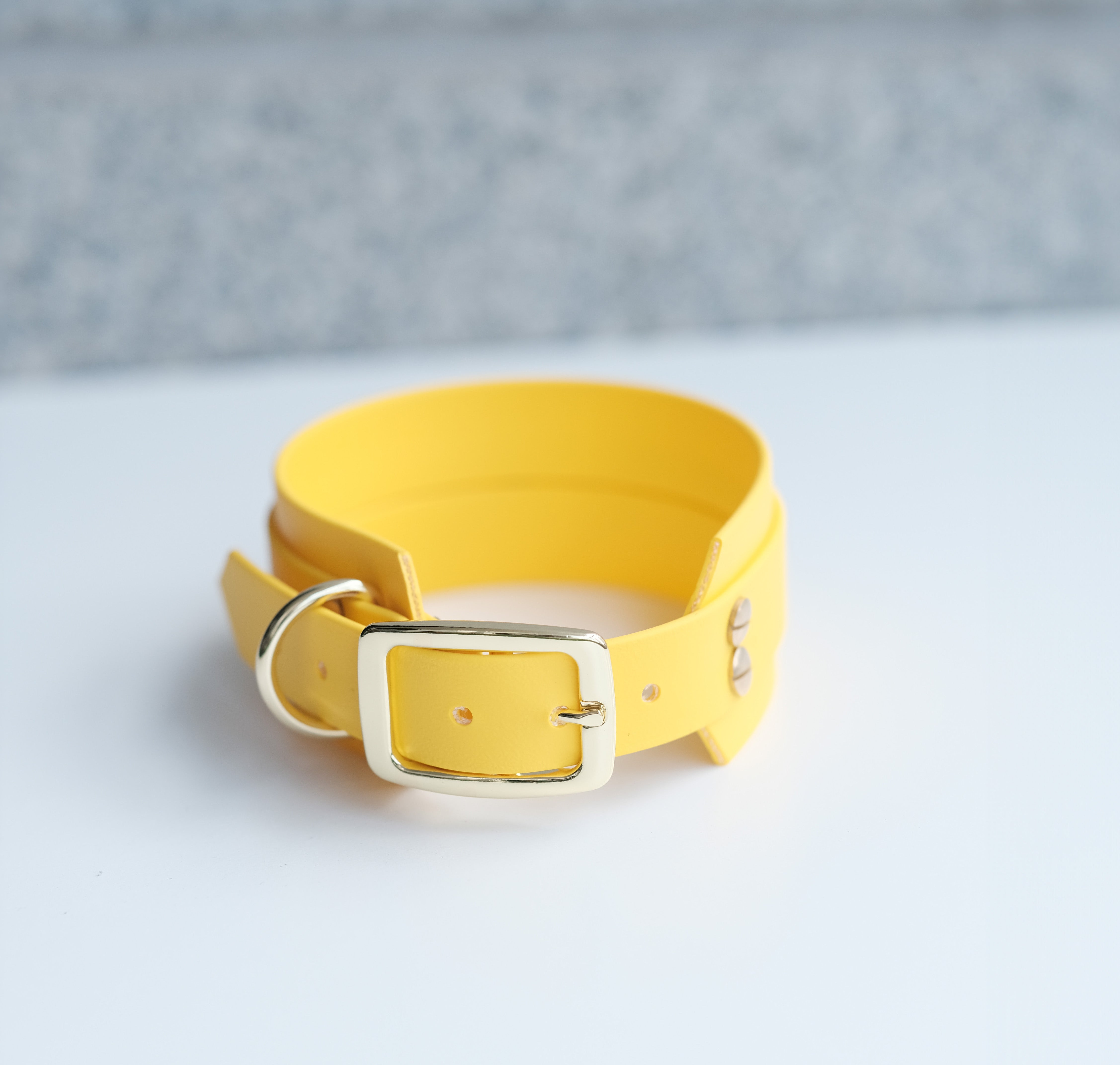 Bruno collar Yellow