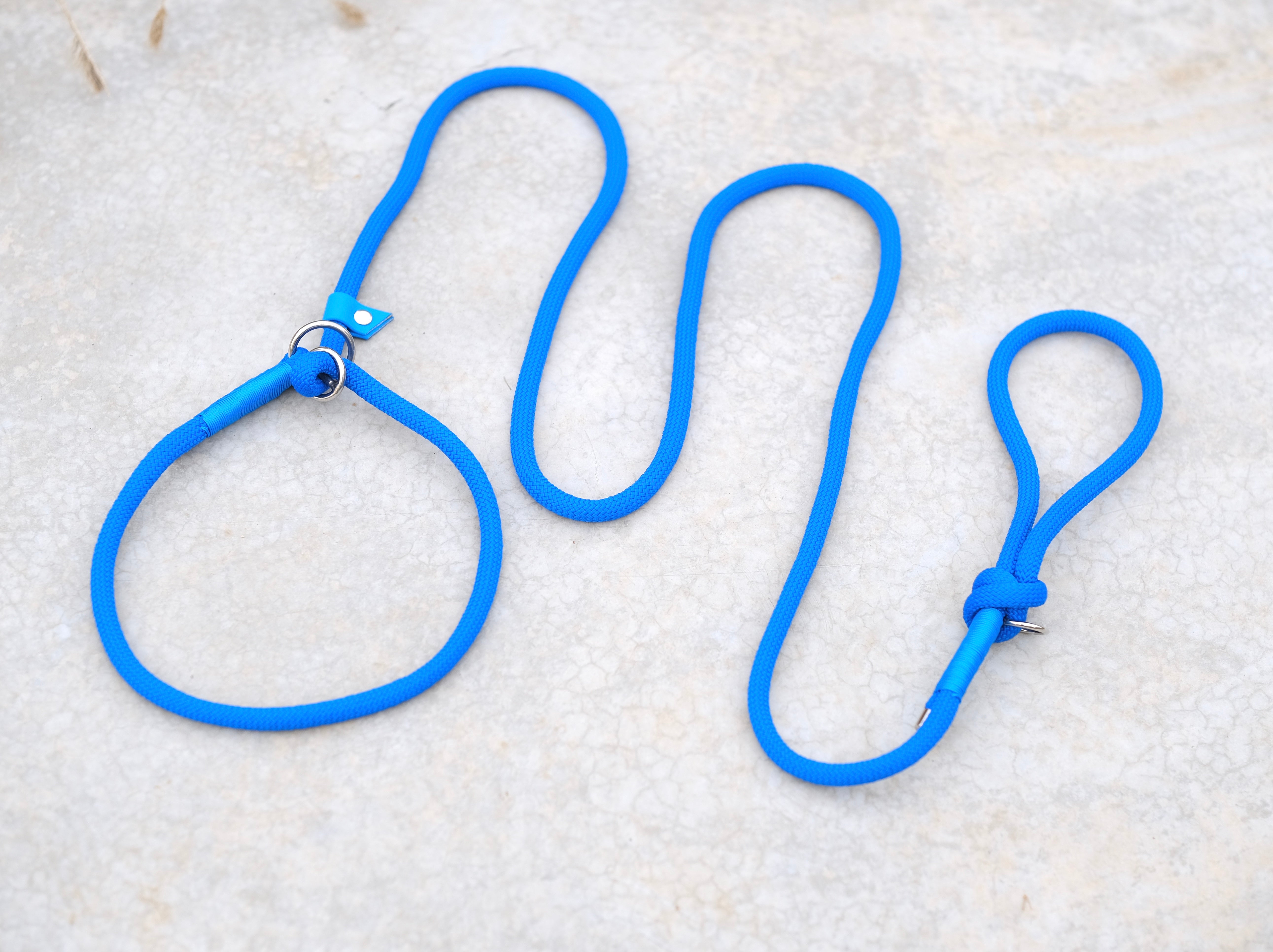 Slip-lead leash Blue