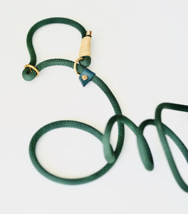 Slip-lead leash Forest green