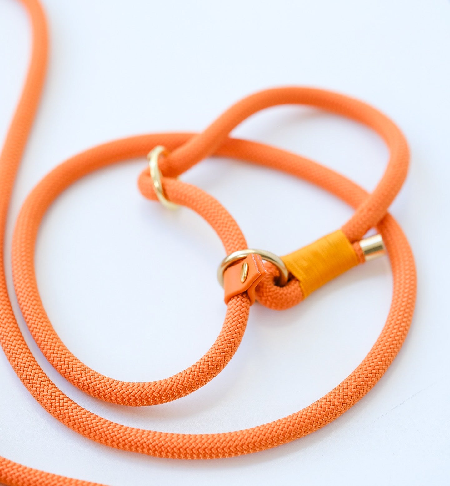Slip-lead leash Orange