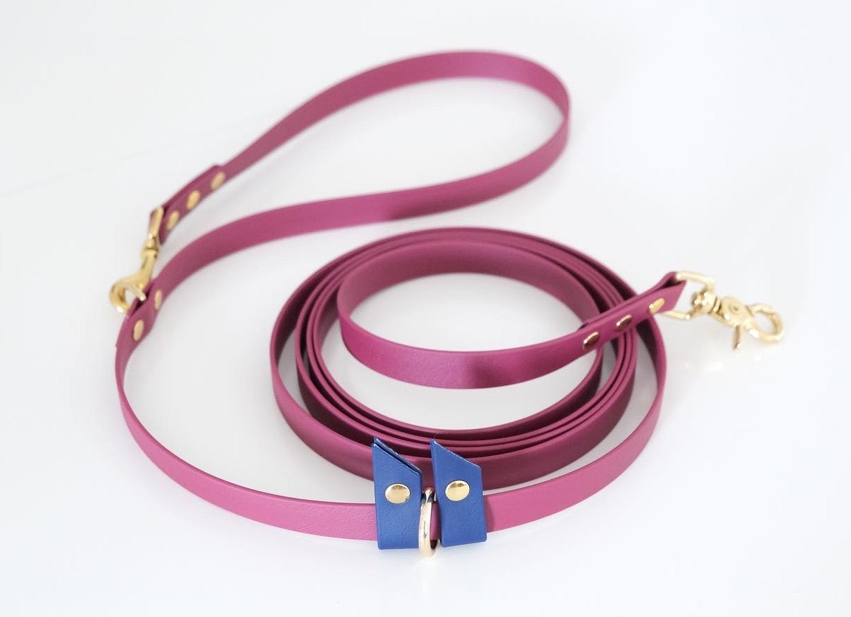 Hands-free leash Wine & navy blue