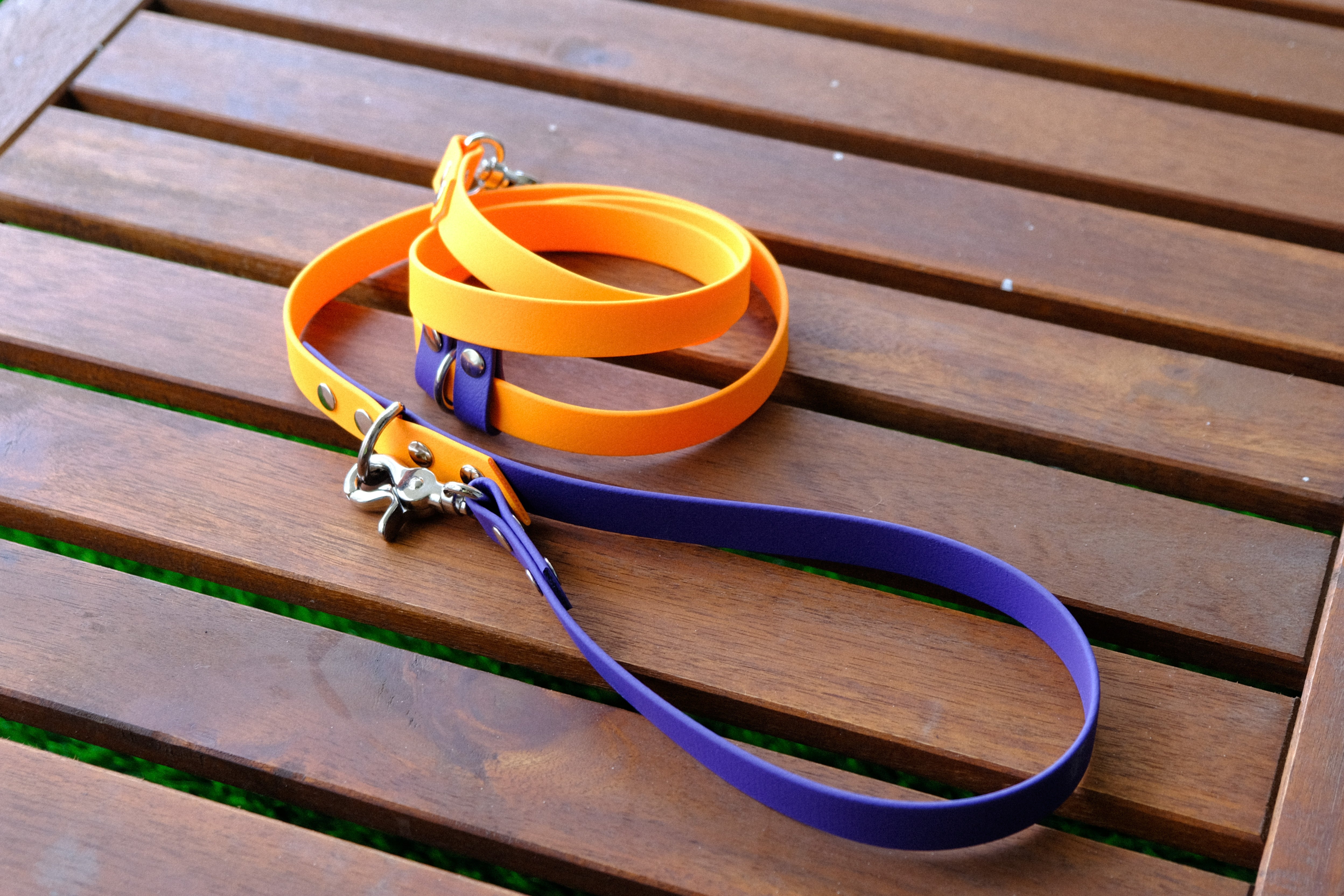 Hands-free leash Orange & purple