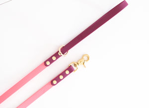 Leash 16 mm Pink & wine