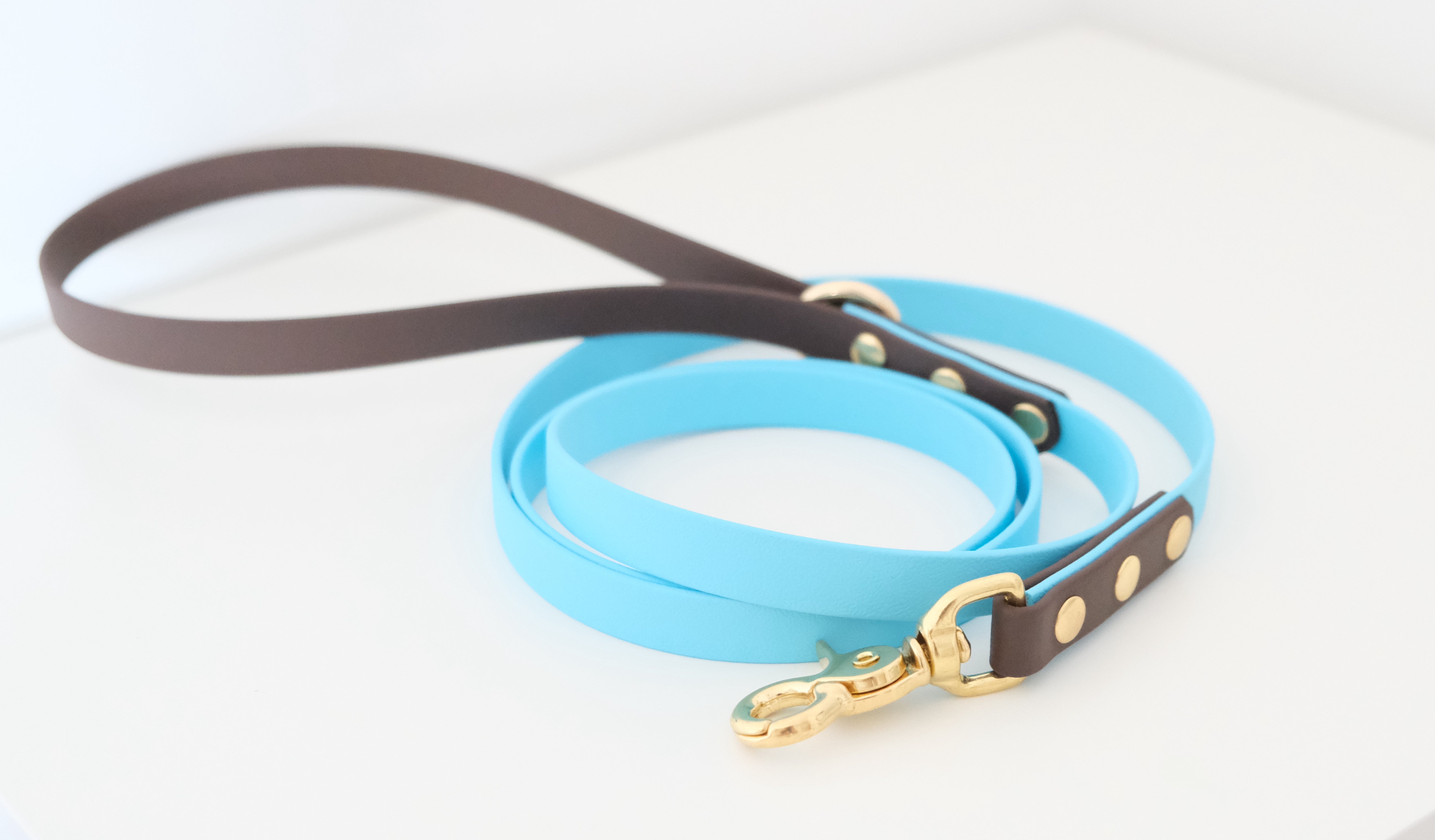 Leash 16 mm Dark chocolate & sky blue