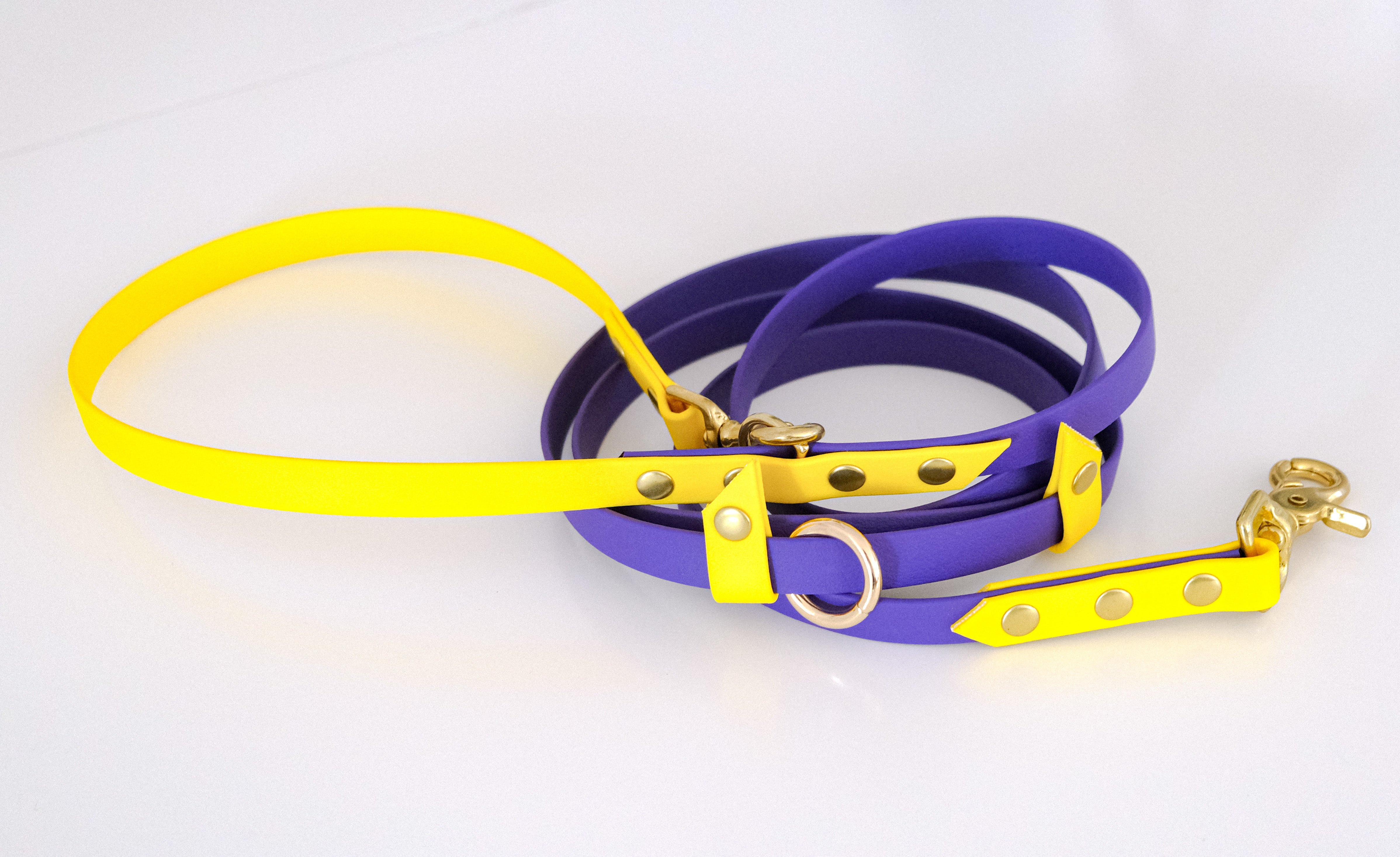 Hands-free leash Yellow & purple