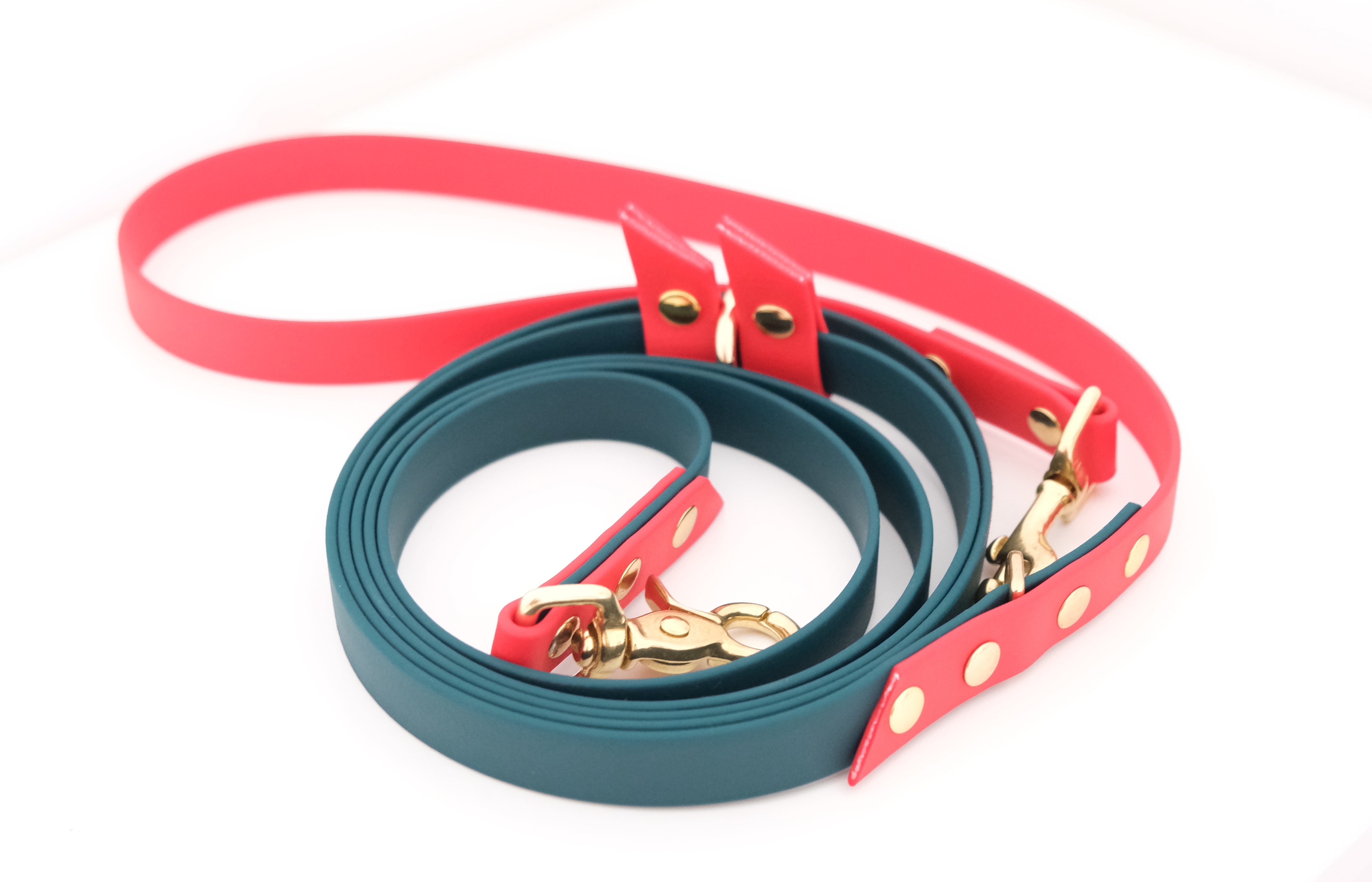 Hands-free leash Red & green