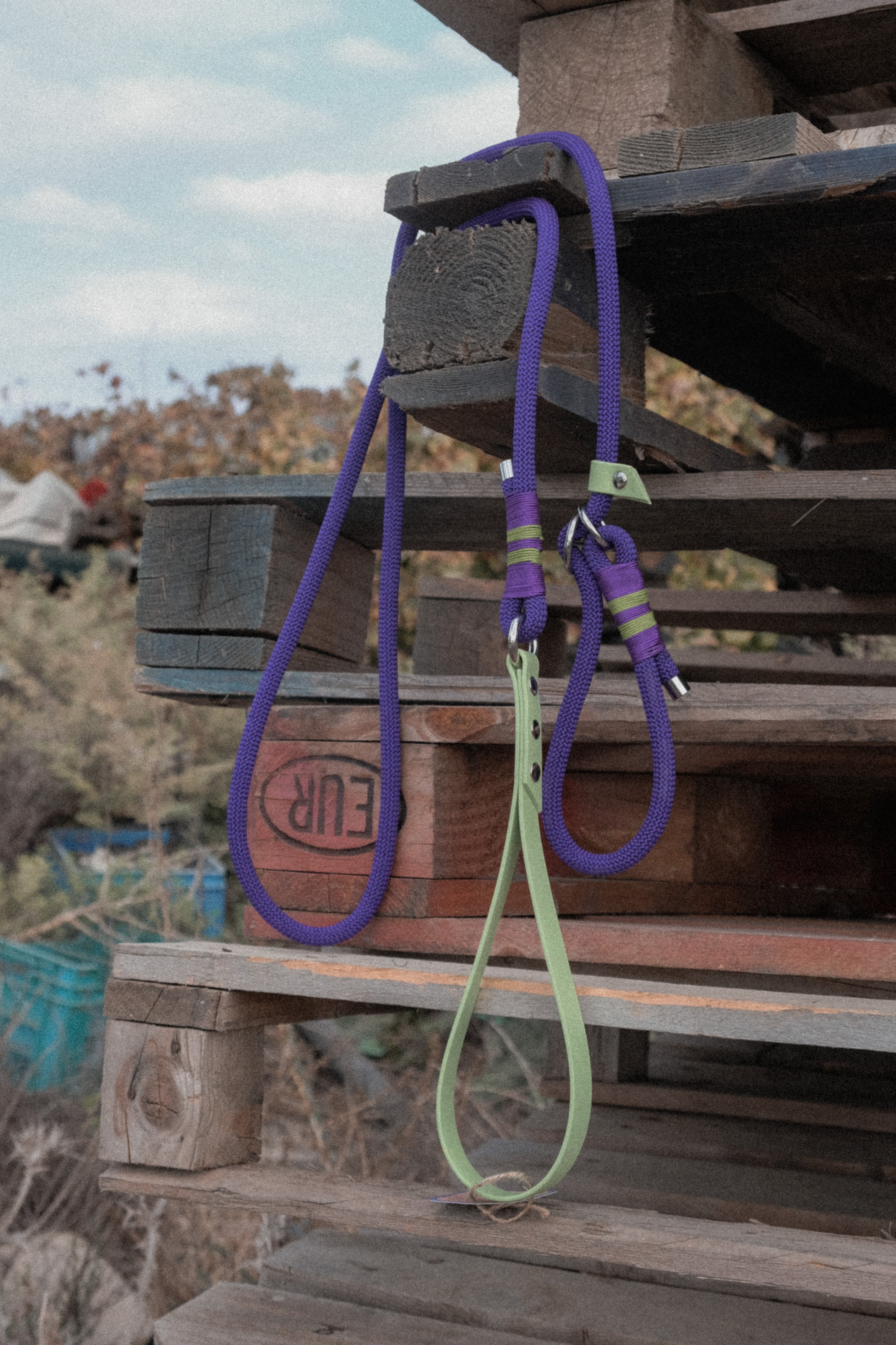 Slip-lead leash "Purple" 1.9 m