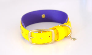 Collar "Macaruni" Purple & yellow