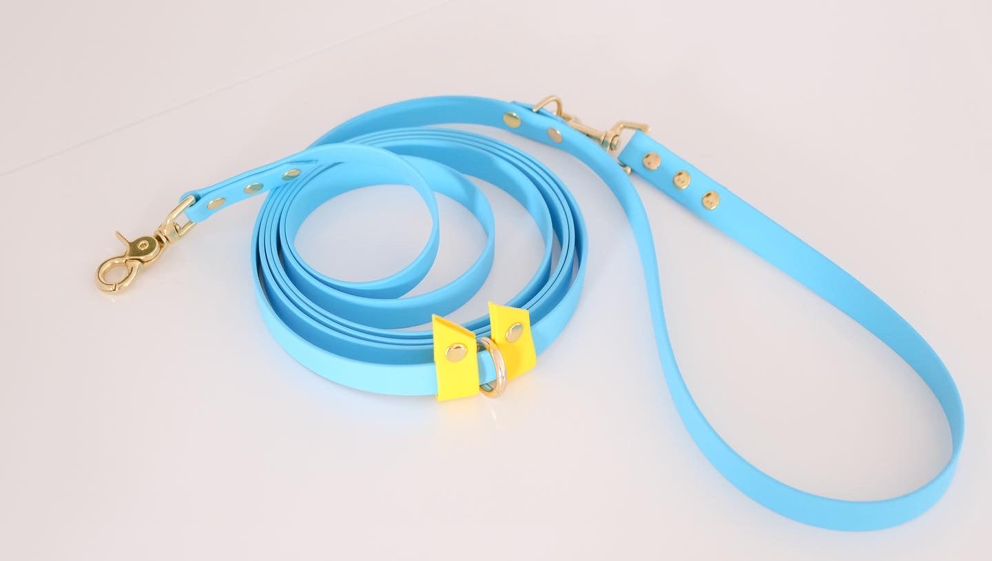 Hands-free leash Sky blue & yellow