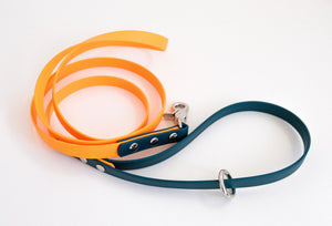 Leash 16 mm Orange and dark green