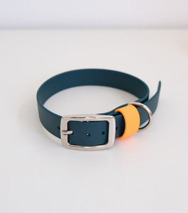 Collar "Eclair" dark green with orange belt loop